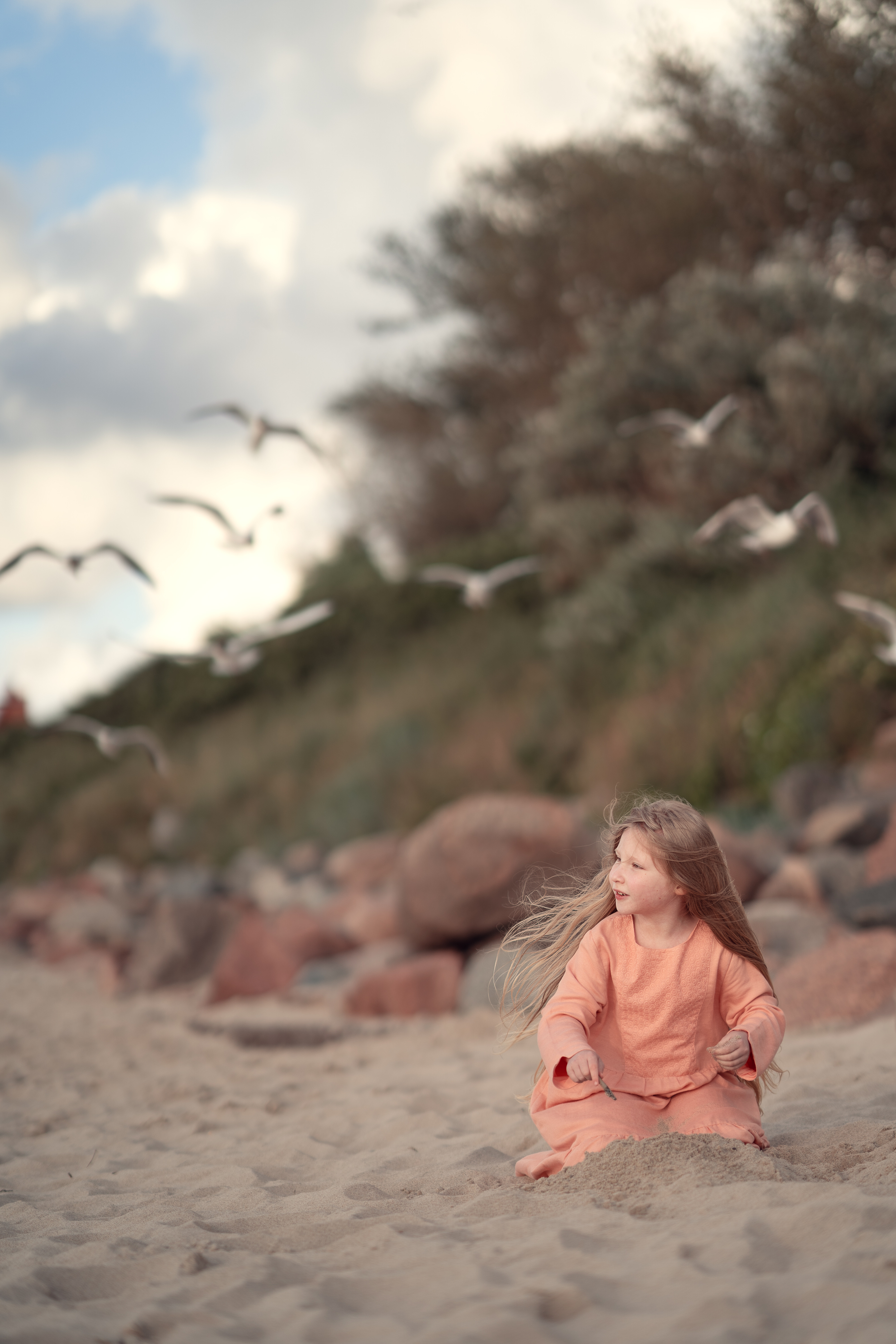 Девочка с чайками