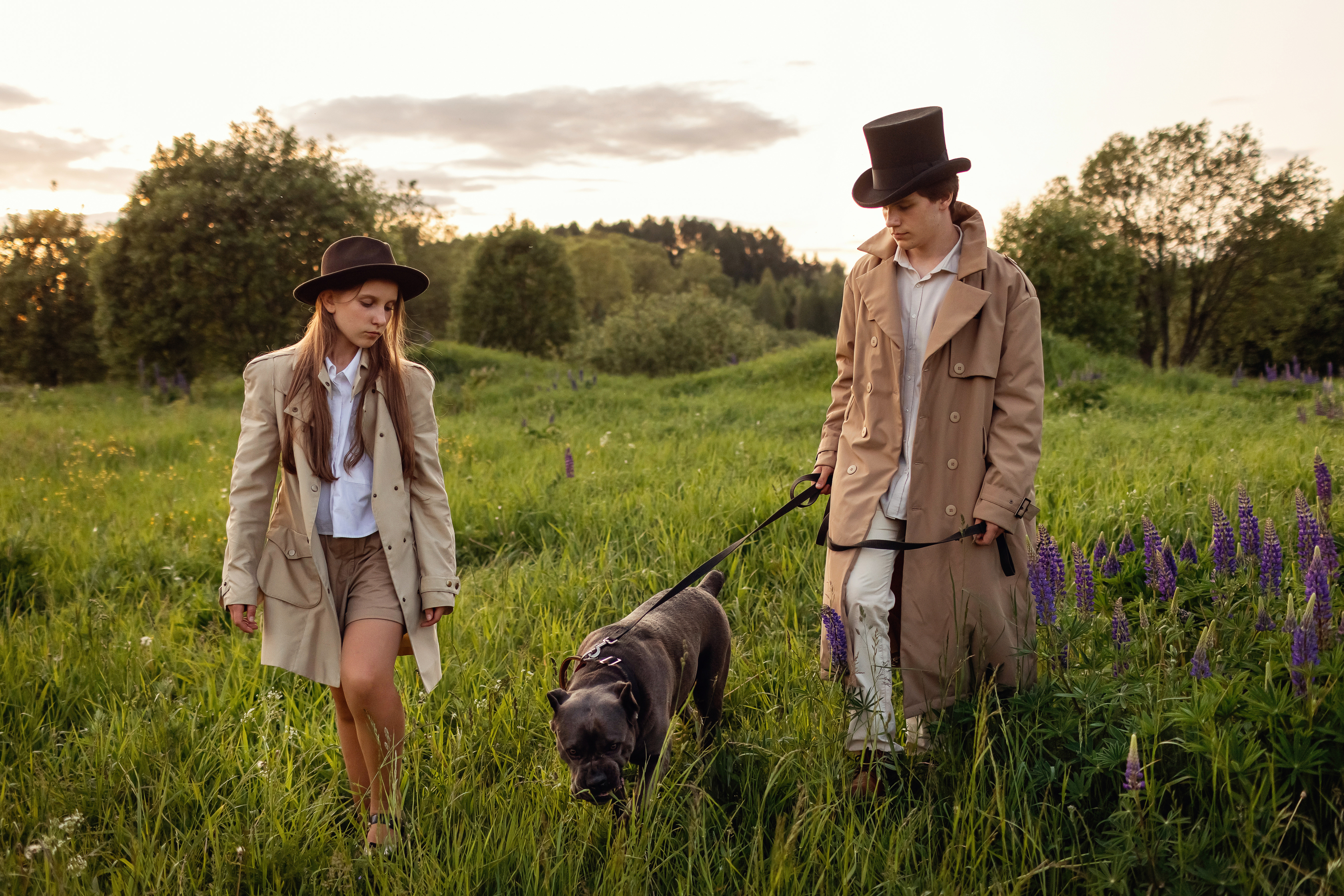 Собака Баскервилей