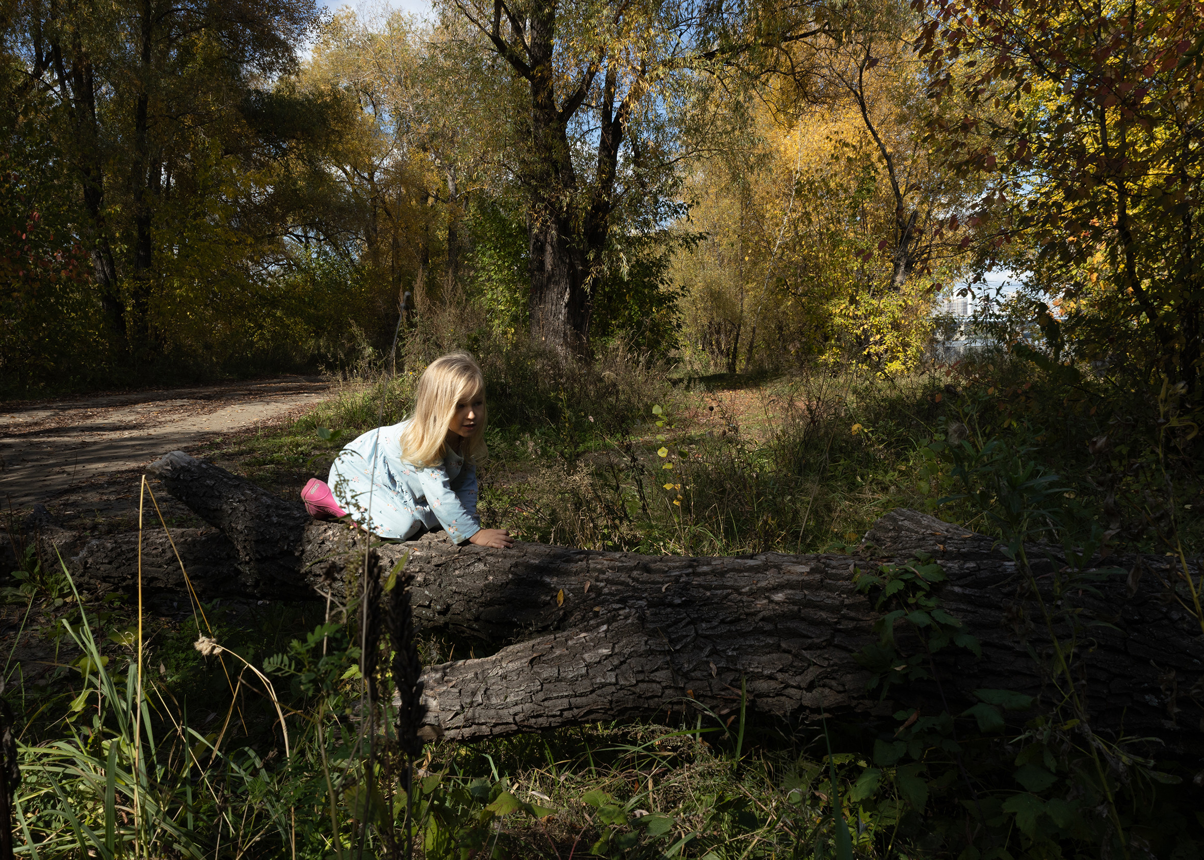 Вера в лесу