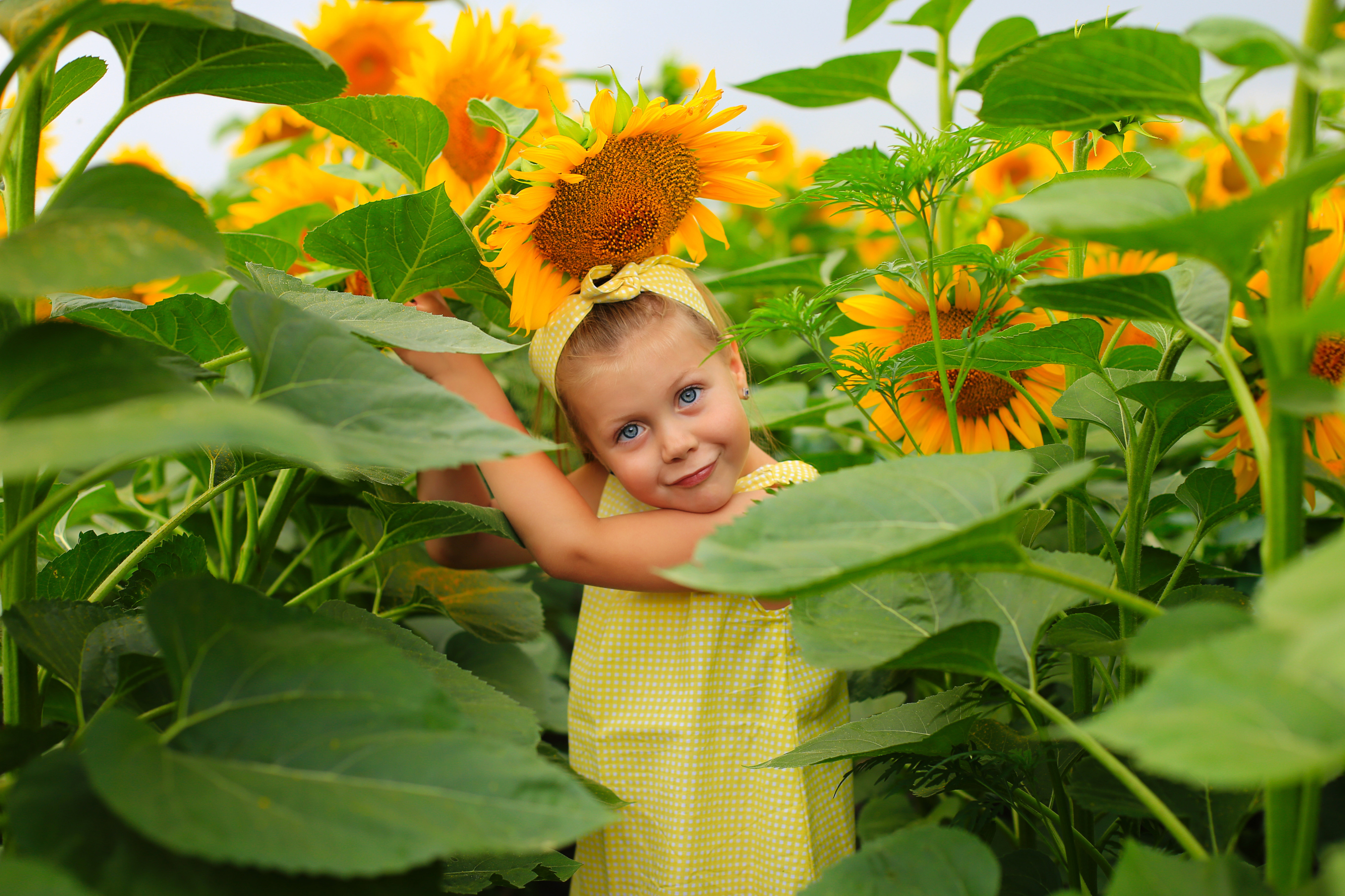 A girl  in sunflowers.