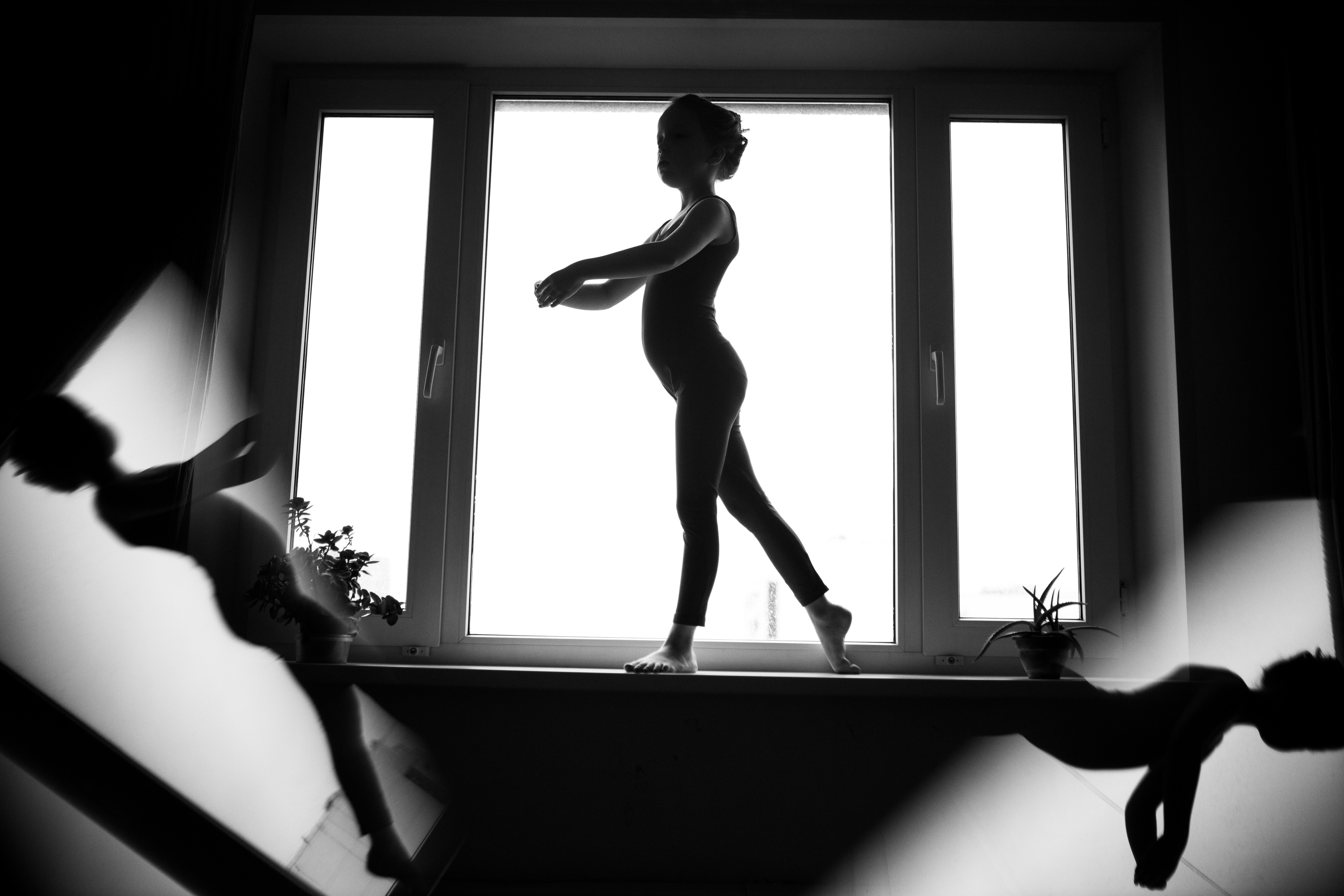 Зеркальные тропы