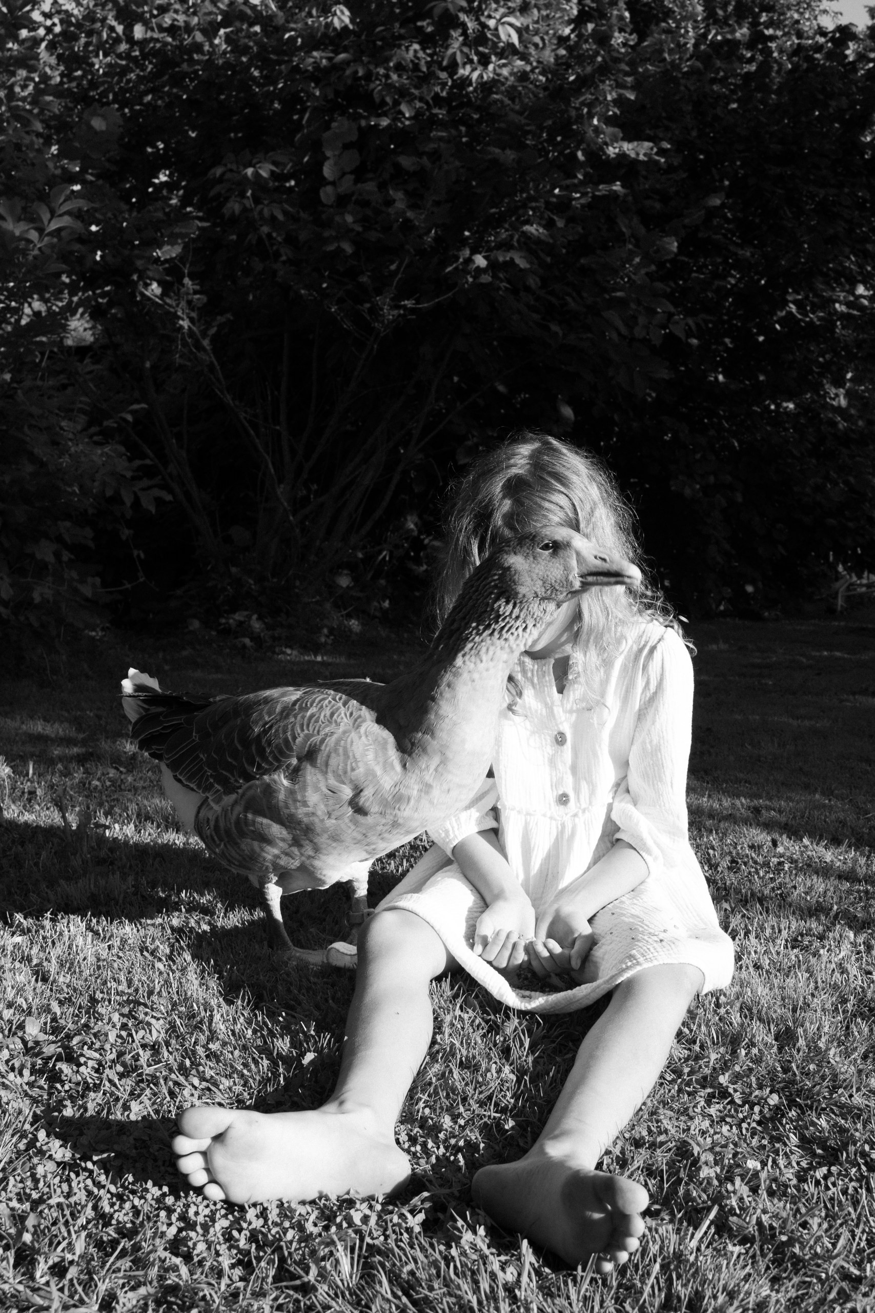 Лето в тени сада