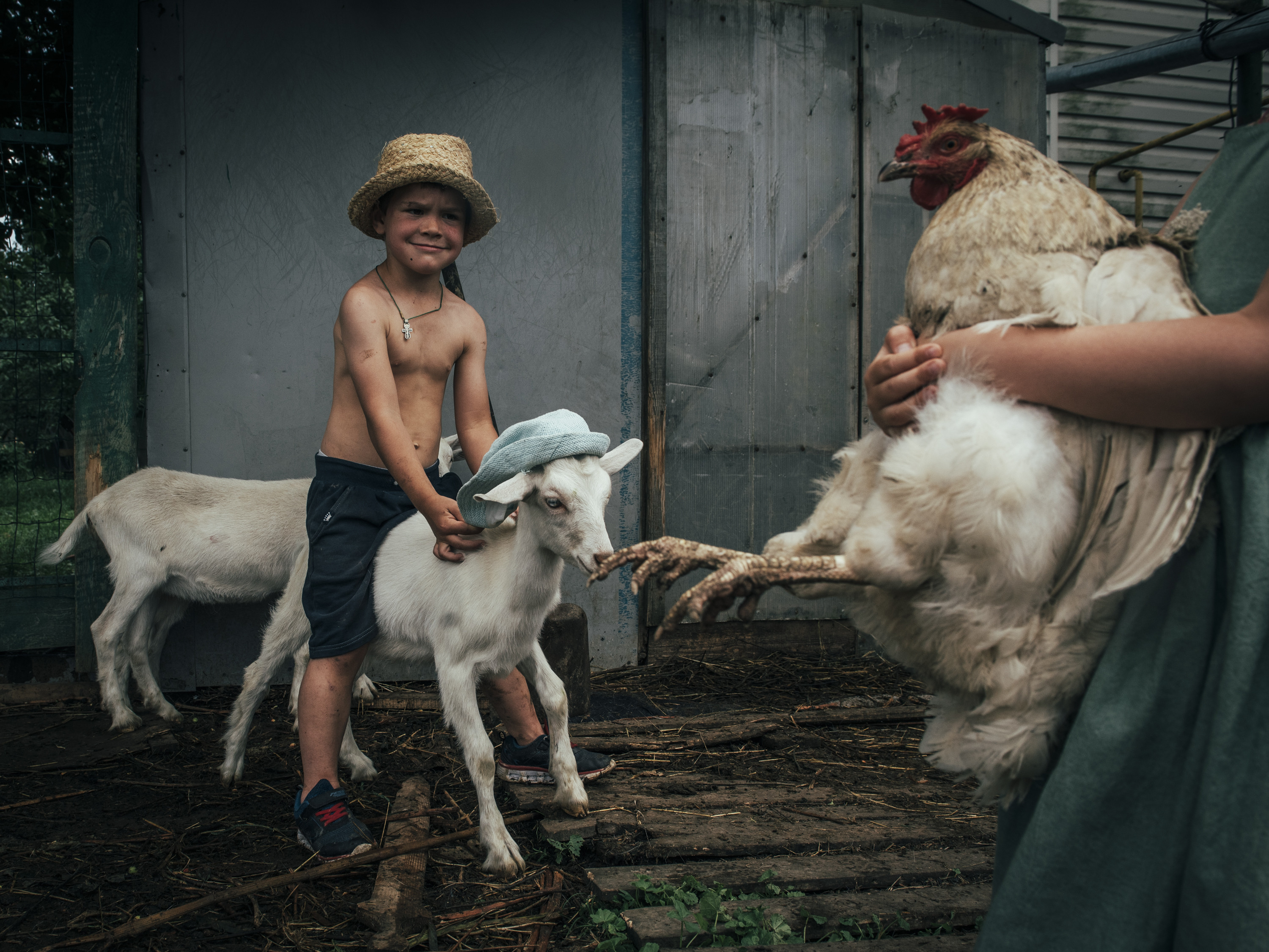 Домашний зоопарк.