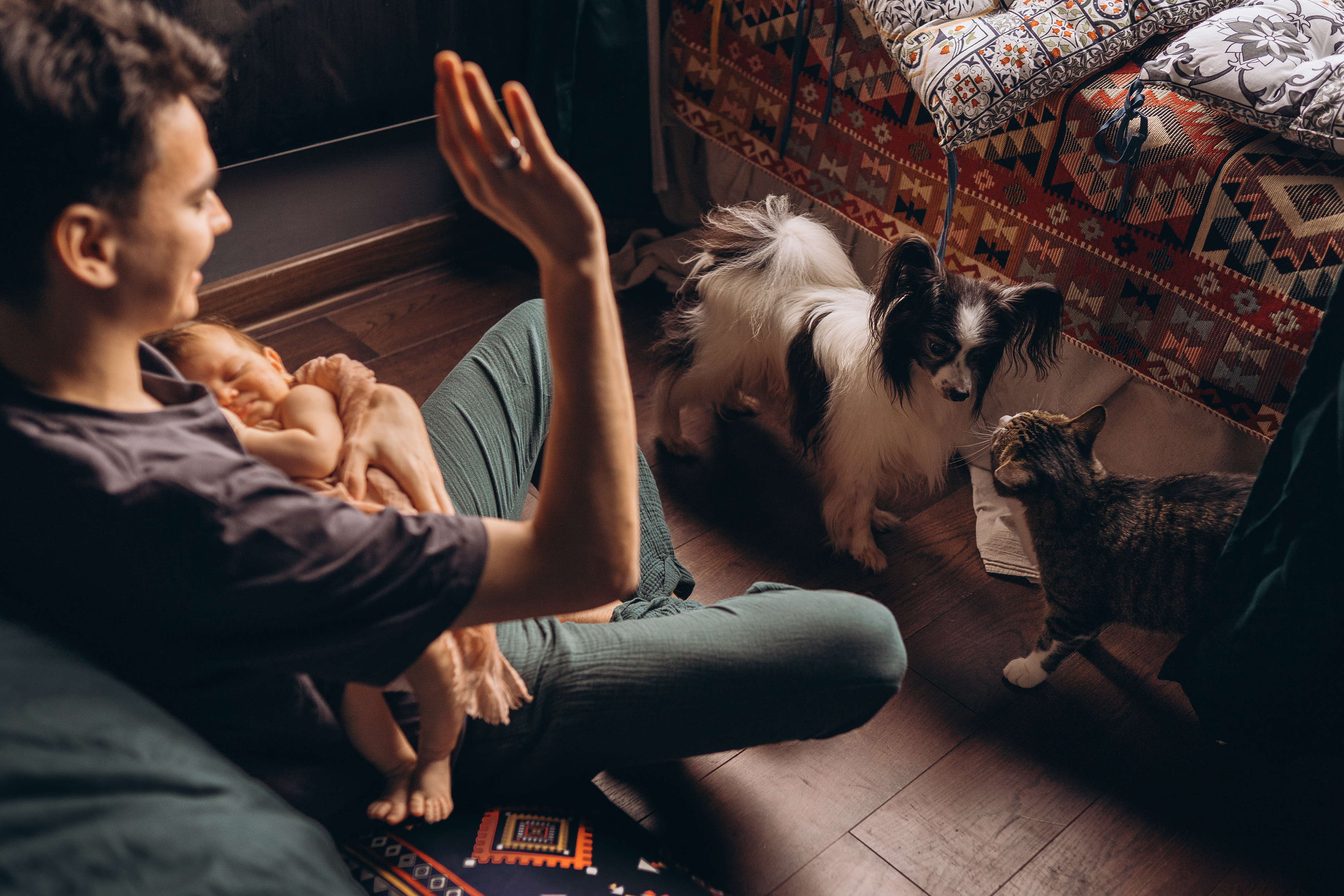 гармония и хаос.