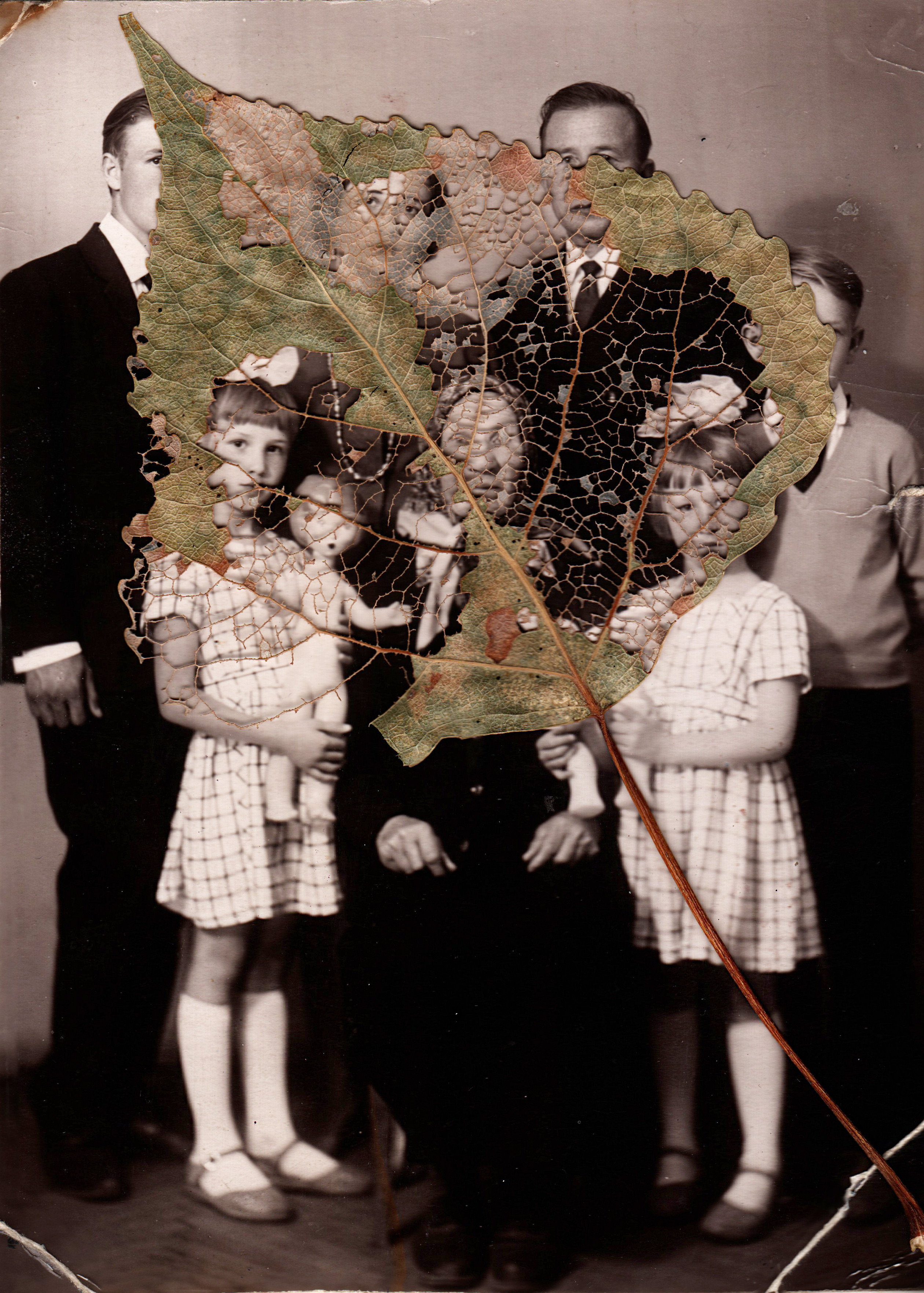 Унесённые ветром времени