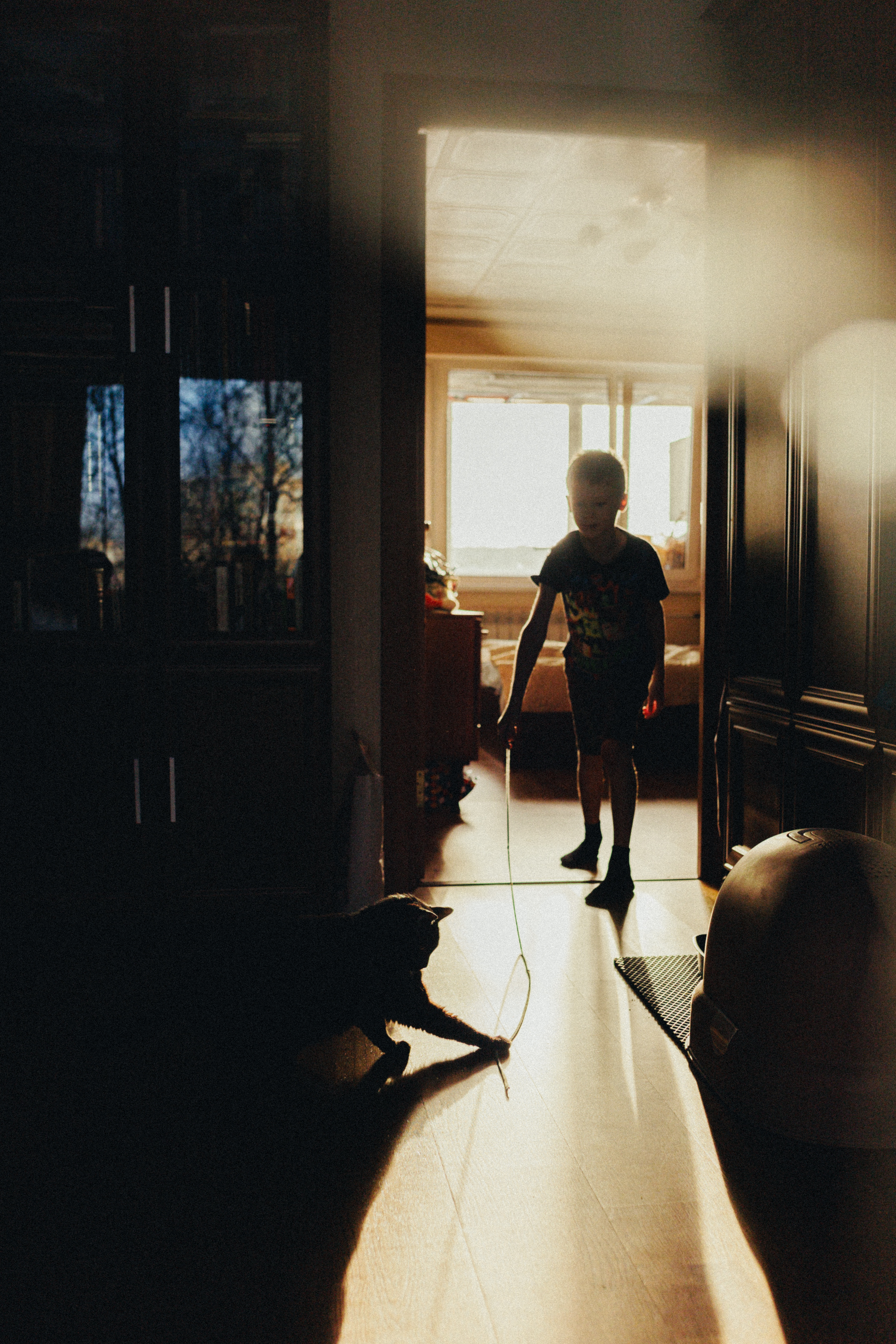 Человек и кошка