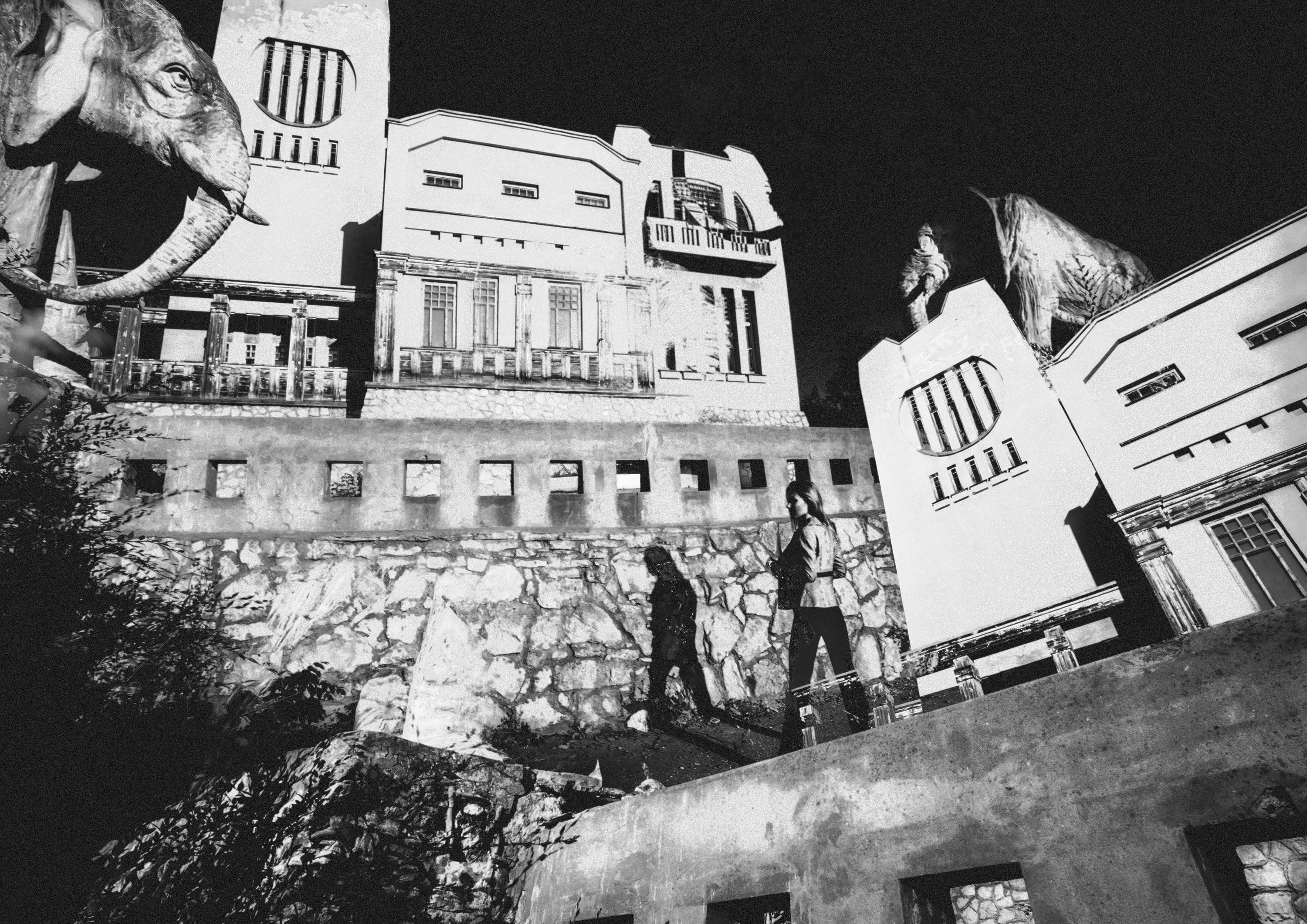 Дом со слонами