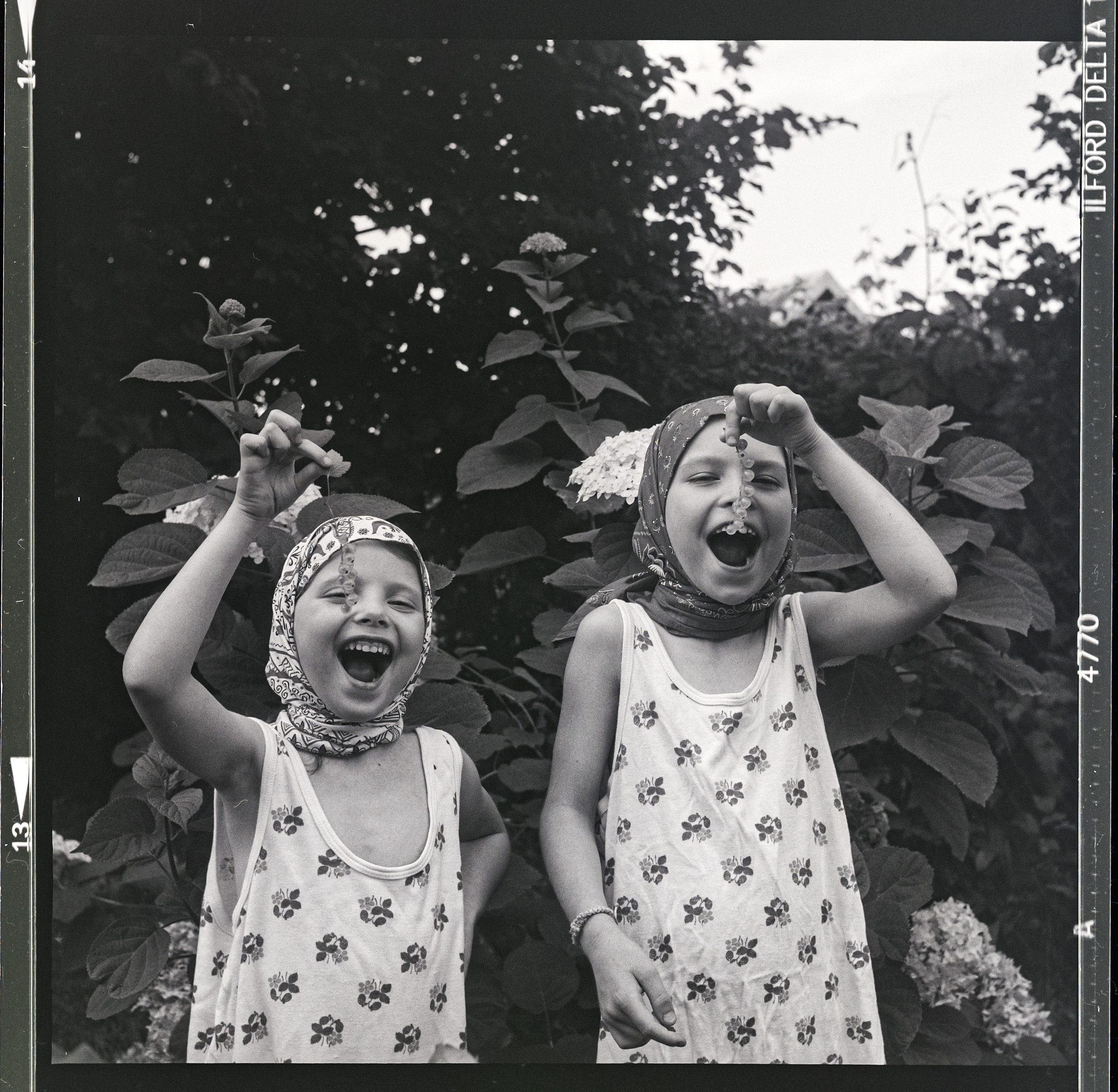 Летние радости