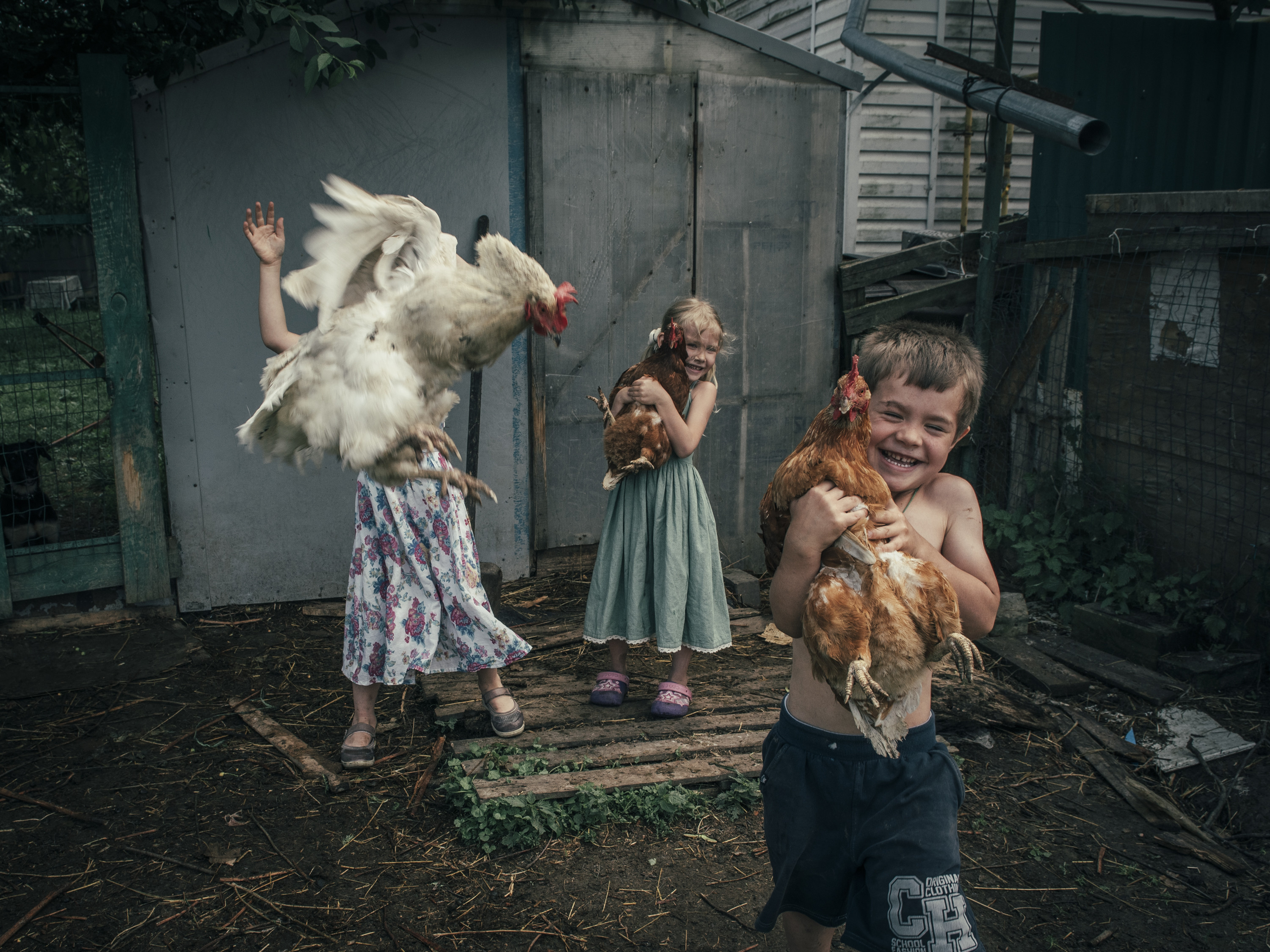 Деревенская жизнь!