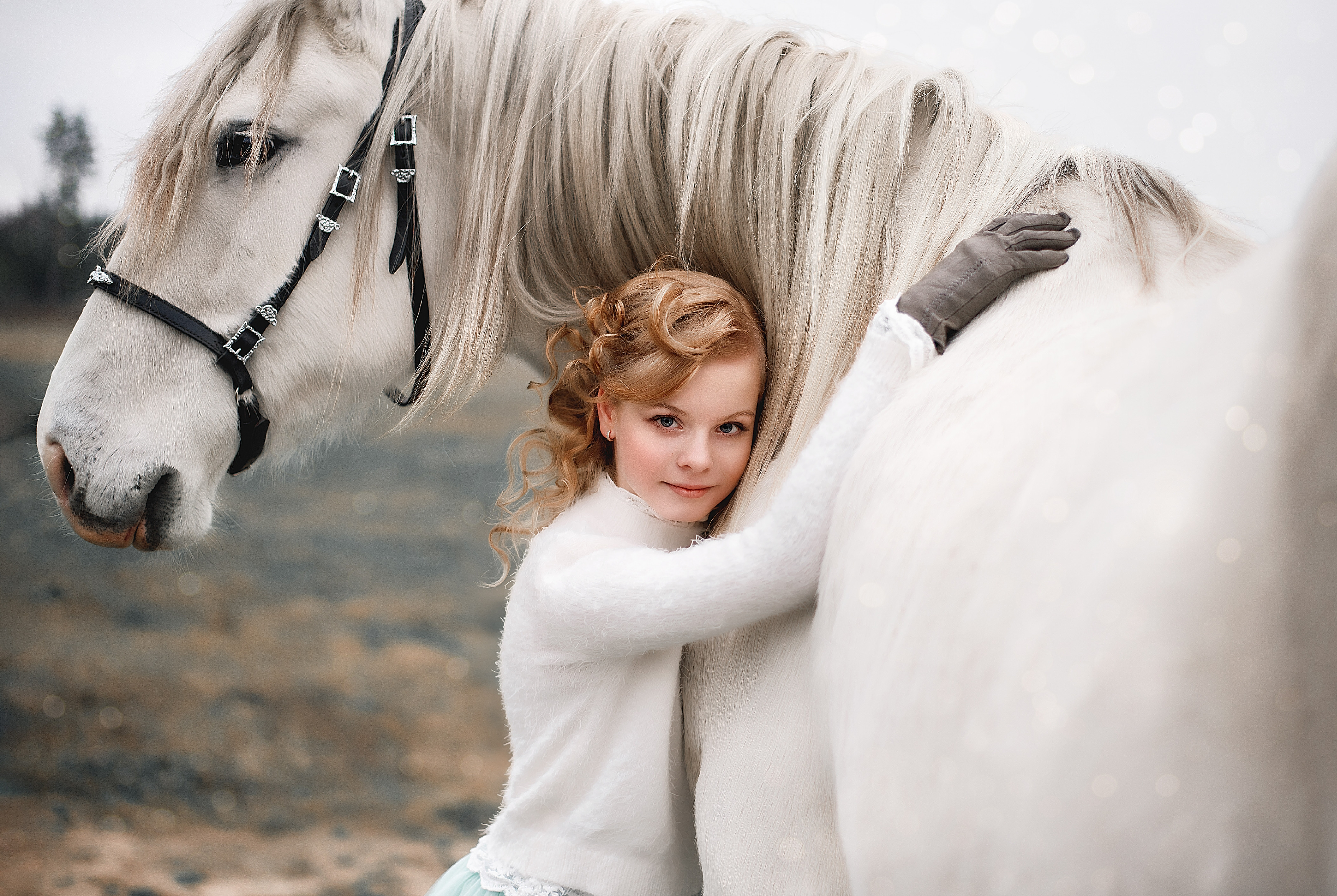 Любовь к лошади