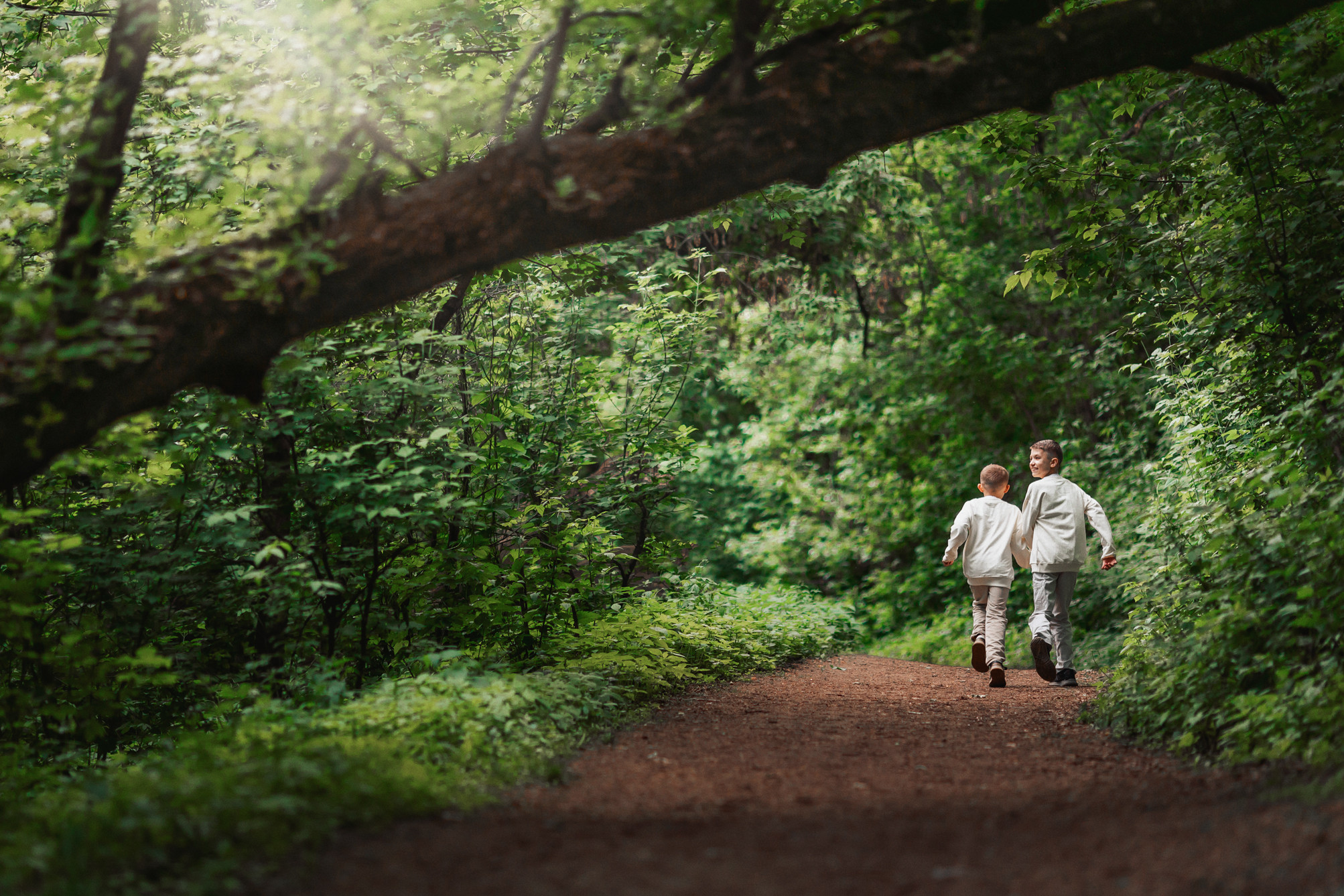 Врываясь в лето