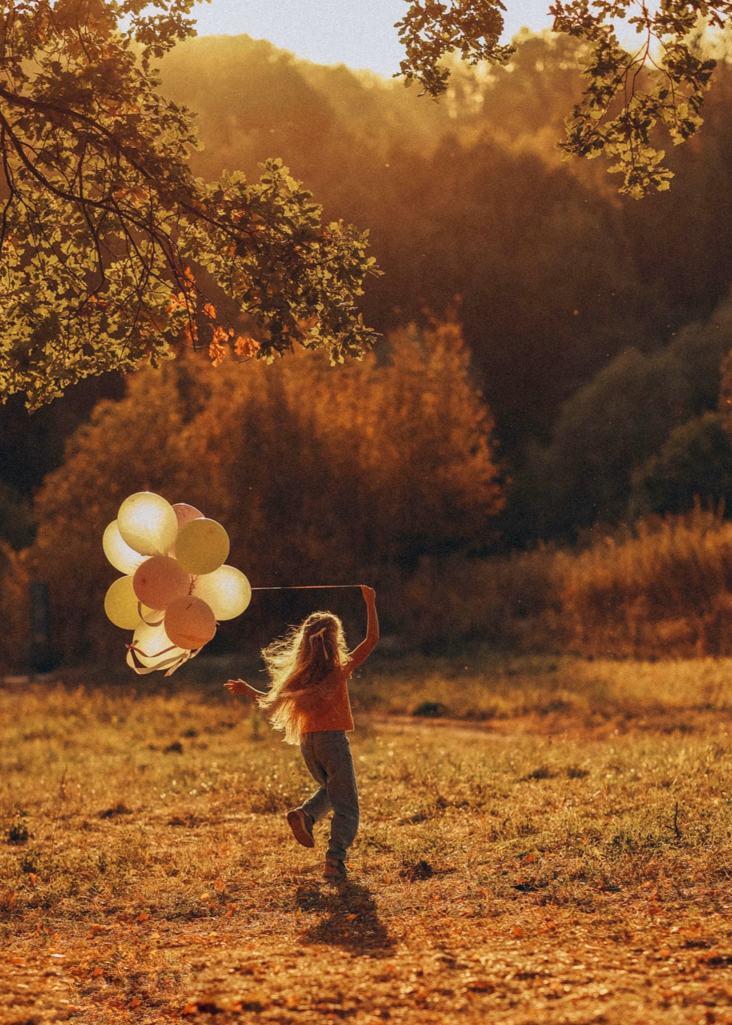 Прекрасное далеко