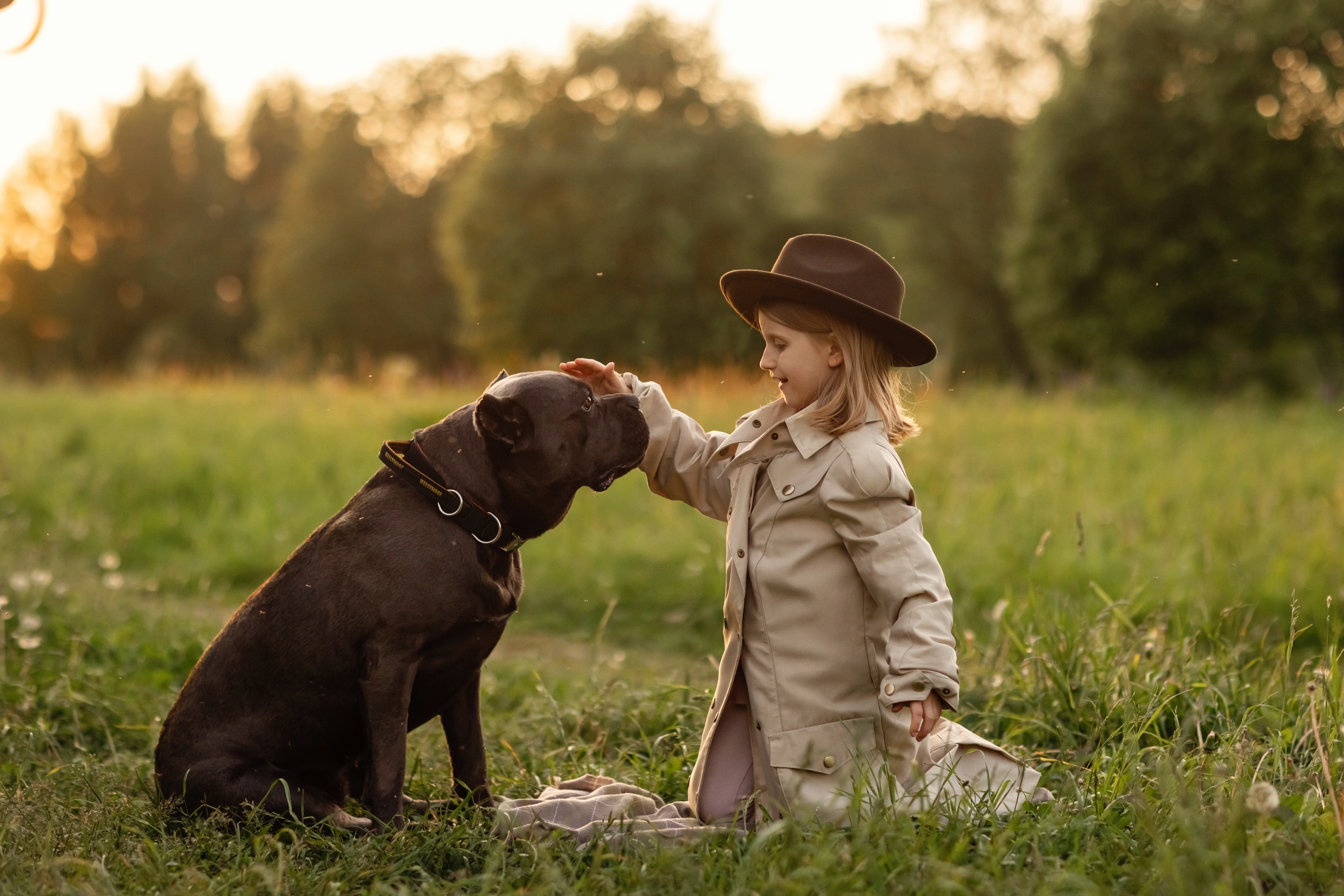 Собака Баскервилей